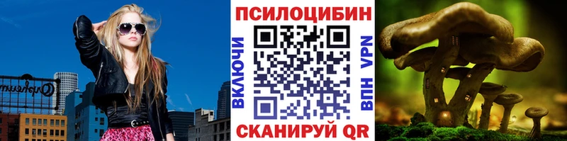 Галлюциногенные грибы Psilocybe Гай