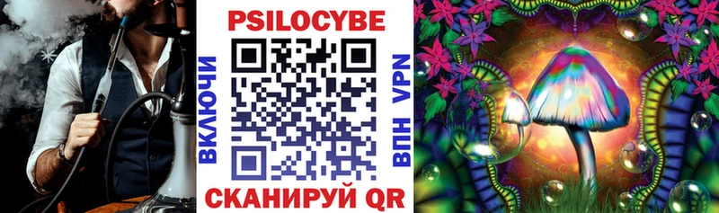 закладка  Гай  Псилоцибиновые грибы прущие грибы 