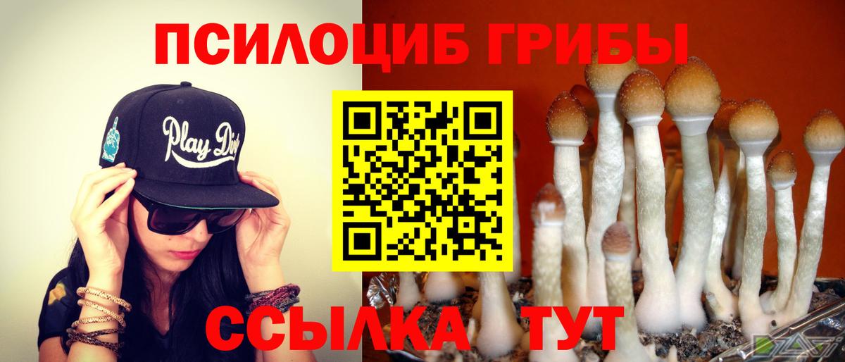 Галлюциногенные грибы GOLDEN TEACHER Гай